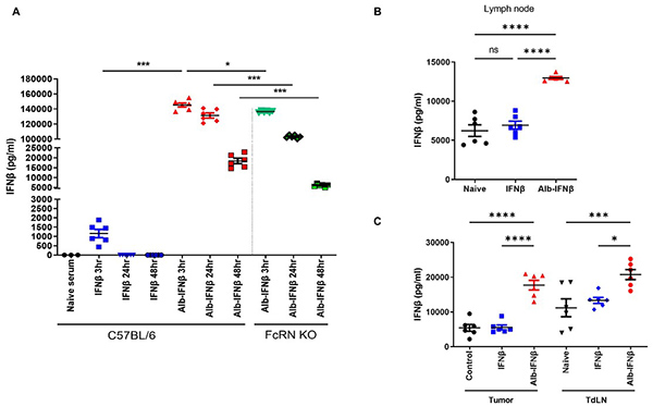 Albumin–interferon-β fusion protein as a vaccine adjuvant enhancing CD8+ T cell-mediated antitumor immunity