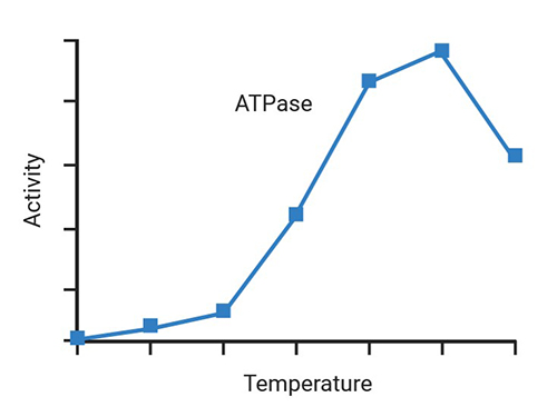 Quantitative measurement services for ATPase and GTPase activity