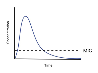 Transporter activity assay services