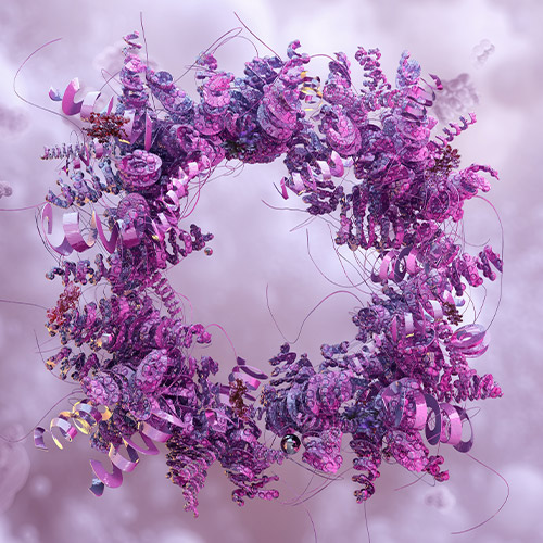 Carbon-Platinum Nanozyme