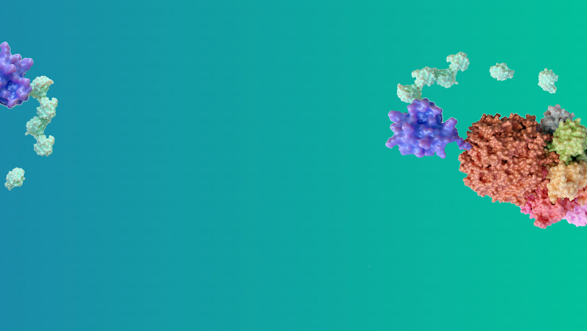 Back-to-School Sale 2025