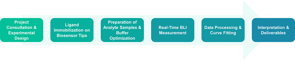 Workflow for bio-layer interferometry service