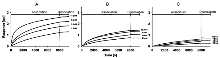 Association and dissociation curves of three liposome formulations