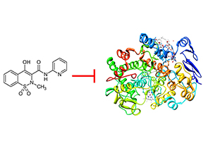 Piroxicam, a COX-1 enzyme inhibitor