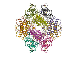 Crystal structure of phospholipase A2 from Micropechis ikaheka