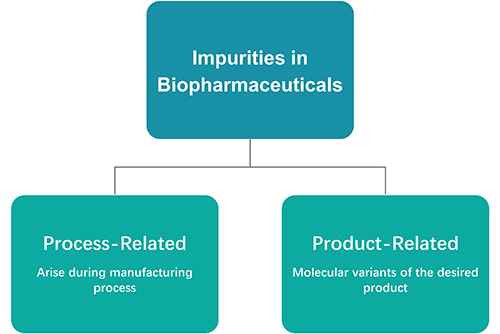 Two types of impurities in biopharmaceuticals: process-related and product-related.