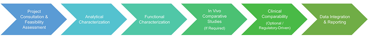 Biosimilar comparability study service procedure.