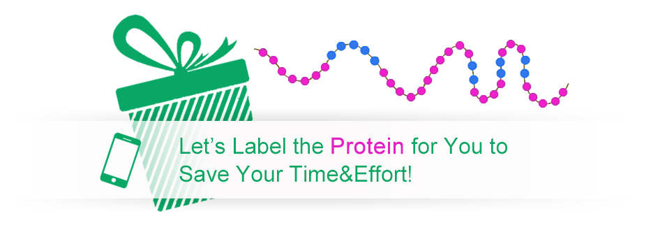 We offer labeled proteins using our catalogue products