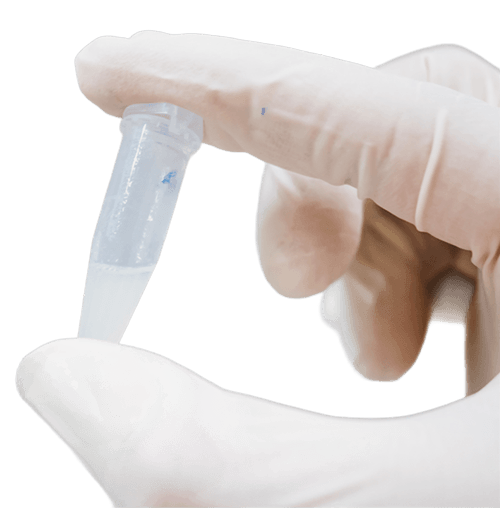 Cell-free display platform for protein engineering and antibody discovery at Creative BioMart