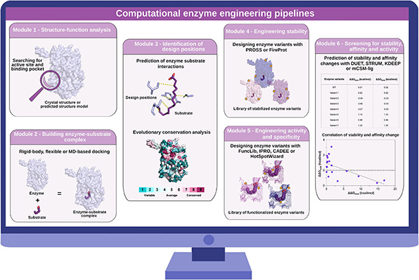 Computational enzyme engineering workflow and pipelines