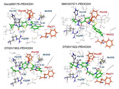 Molecular docking studies (Rawat et al., 2021)
