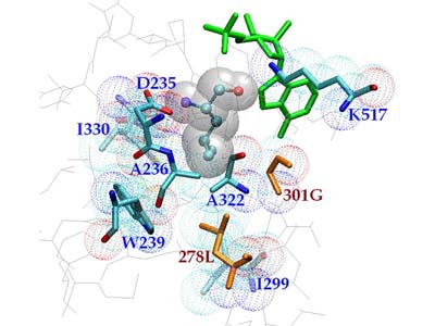 Structure-based computational redesign of enzyme activity (Chen et al., 2009)