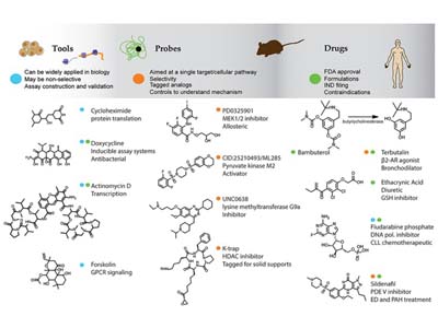 Compound library design and database management (Wassermann et al., 2014)