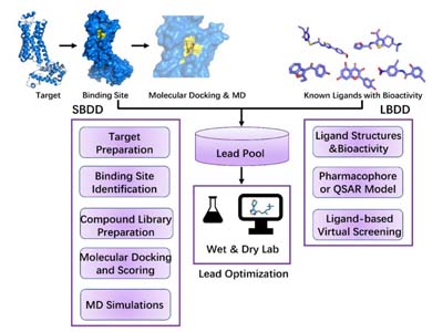 Structure-based and ligand-based drug design approaches (Zhang et al., 2022)