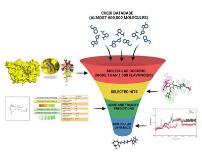 Virtual screening methods for rapid hit identification in drug discovery