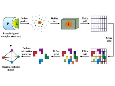 Pharmacophore elucidation algorithm for enzyme-ligand modeling (Cheng et al., 2010)