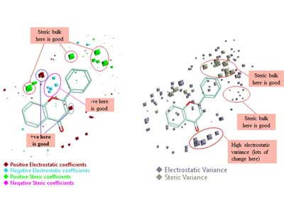 QSAR analysis for predicting enzyme binding affinity (Alam and Khan, 2019)