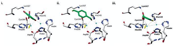 Virtual screening of metalloenzymes for potential inhibitors and substrates