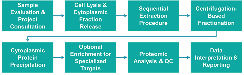 Workflow for cytoplasmic protein extraction service