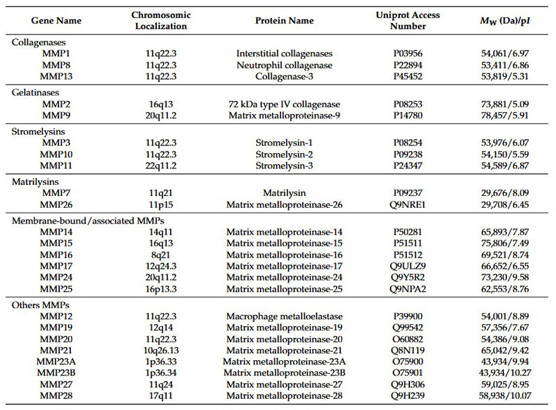 Structure of G protein-coupled receptor.