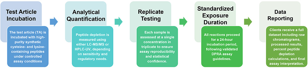 Workflow for direct peptide reactivity assay