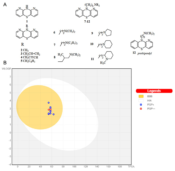 Study of lipophilicity and ADME properties of 1,9-diazaphenothiazines with anticancer action.