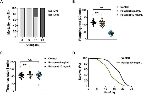Establishing the C. elegans as a model for PQ poisoning.