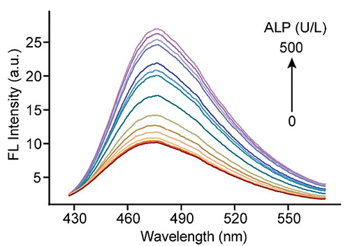 Synergistic quenching-based ALP biosensor using fluorescent Si dots.