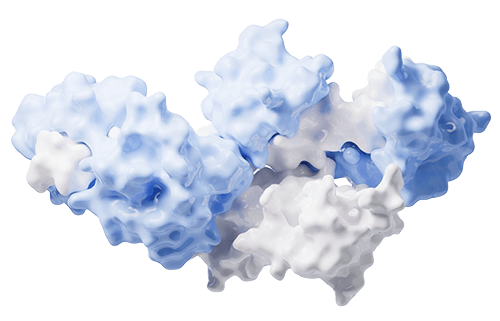 Endotoxin-free protein production