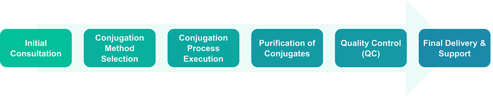 Workflow diagram showing enzyme/antibody conjugation process