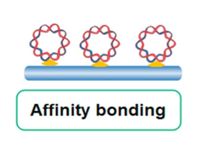 Affinity tag-based enzyme immobilization method