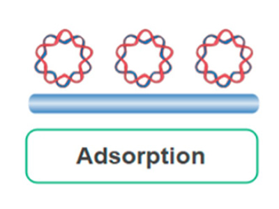Enzyme immobilization via adsorption technique