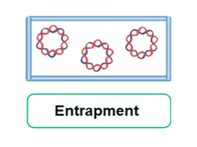 Entrapment method for enzyme immobilization