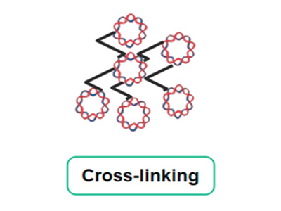 Enzyme immobilization through cross-linking strategy