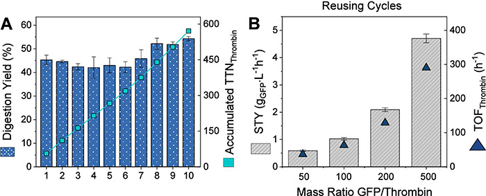 Thrombin immobilization on agarose for affinity tag removal