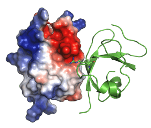 Enzyme assay and screening services