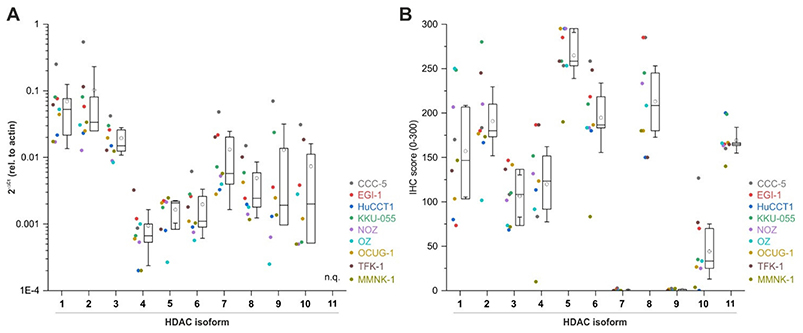 Histone deacetylase expression in biliary tract cancer cells