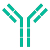 Monoclonal Antibody Development