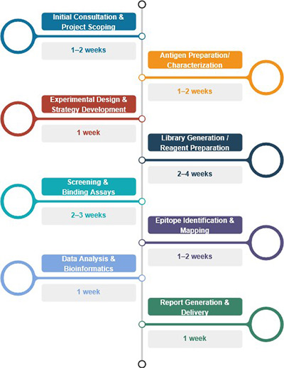 Epitope mapping service procedure.
