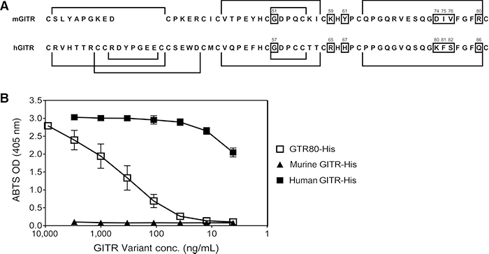 Epitopes of murine antibody DTA-1 and humanized antibody MK-4166