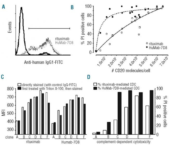 HuMab-7D8, a monoclonal antibody that targets the membrane-proximal small loop epitope of CD20, can effectively eliminate CD20-low-expressing tumor cells that resist rituximab-mediated lysis.
