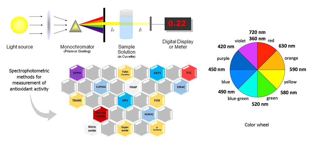 Graphic abstract of spectrophotometric methods for measuring antioxidant activity.