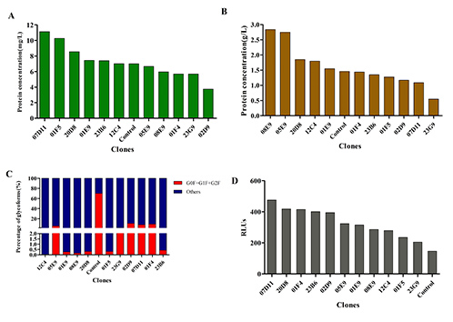 Generation of FUT8 knockout CHO cells for stable monoclonal antibody expression