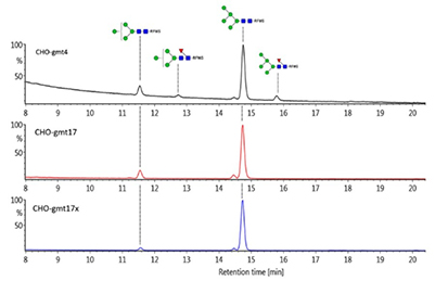 Production of β-glucocerebrosidase with uniform Man5 glycoform