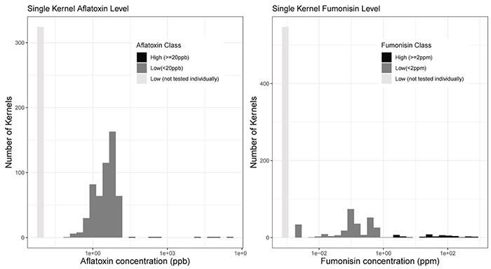 Single kernel aflatoxin and fumonisin contamination distribution and spectral classification in commercial corn.