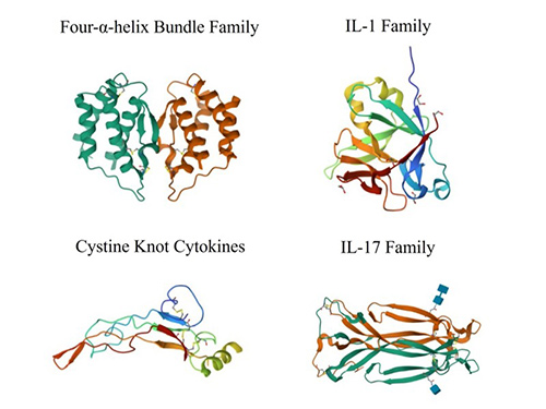Classification Based on Structure