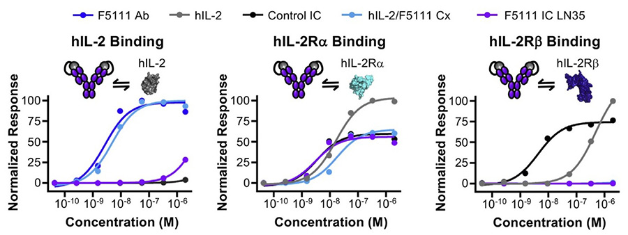 Figure 2. F5111 Figure 2. IC blocks IL-2 binding to IL-2Rβ and biases toward Treg activation. Equilibrium biolayer interferometry-based titrations of F5111 antibody (Ab), hIL-2, control IC, hIL-2/F5111 complex (Cx, 1:1 molar ratio), and F5111 IC LN35 binding to hIL-2 (left), hIL-2Rα (middle), or hIL-2Rβ (right).