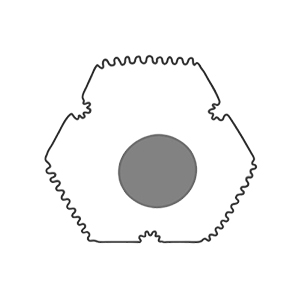 Hepatocyte Growth Factor
