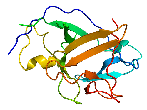 Crystal structure of IL-1a, PDB code: 2ILA.