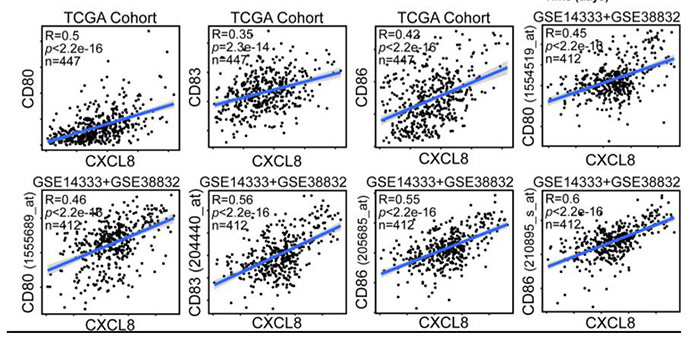 CXCL8 associated dendritic cell activation marker expression and recruitment as indicators of favorable outcomes in colorectal cancer.